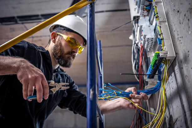 Best Electrical System Inspection  in Elleale, ND