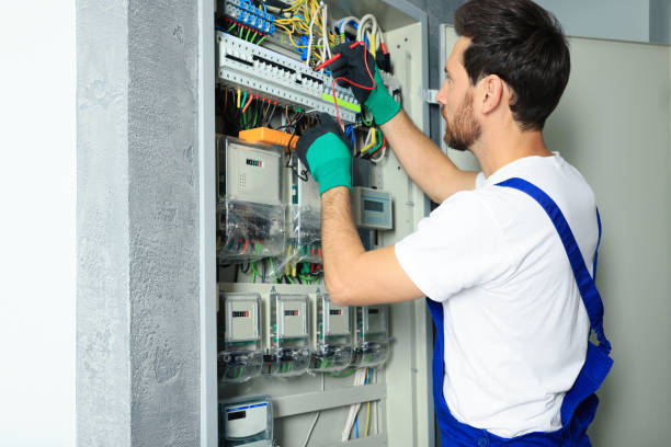 Best Electrical Repair Services  in Elleale, ND