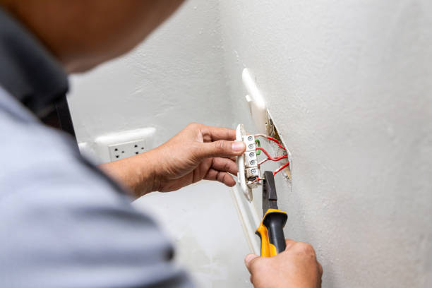 Best Electrician for Home Renovation  in Elleale, ND